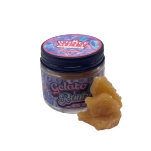 Gelato Runtz | Gelato Edition