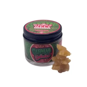 Guava Gelato | Gelato Edition